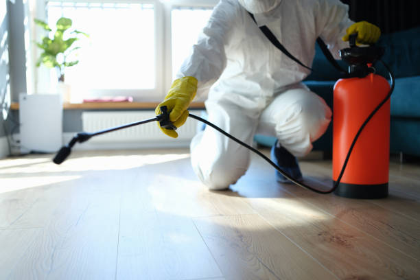Reliable Infectious Disease Decontamination contractor in Sweeny, TX by Trauma Clean Pros